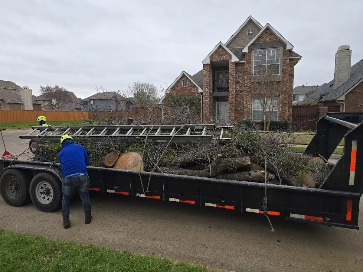 Expert Tree Fertilization with proper safety equipment in Nitro